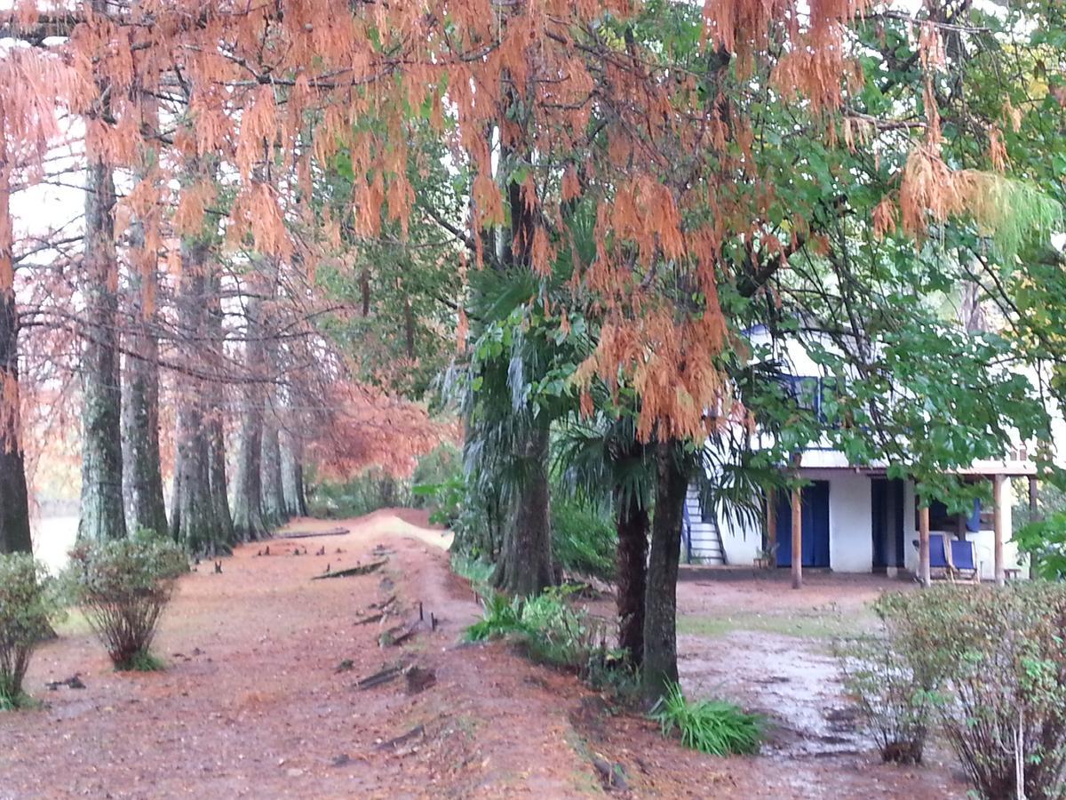 Casa Del Bosque Villa Тигре Екстериор снимка